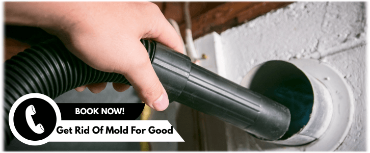 Air Duct Mold Removal in Douglasville GA